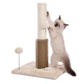 19.6" 3 in 1 Cat Scratching Post