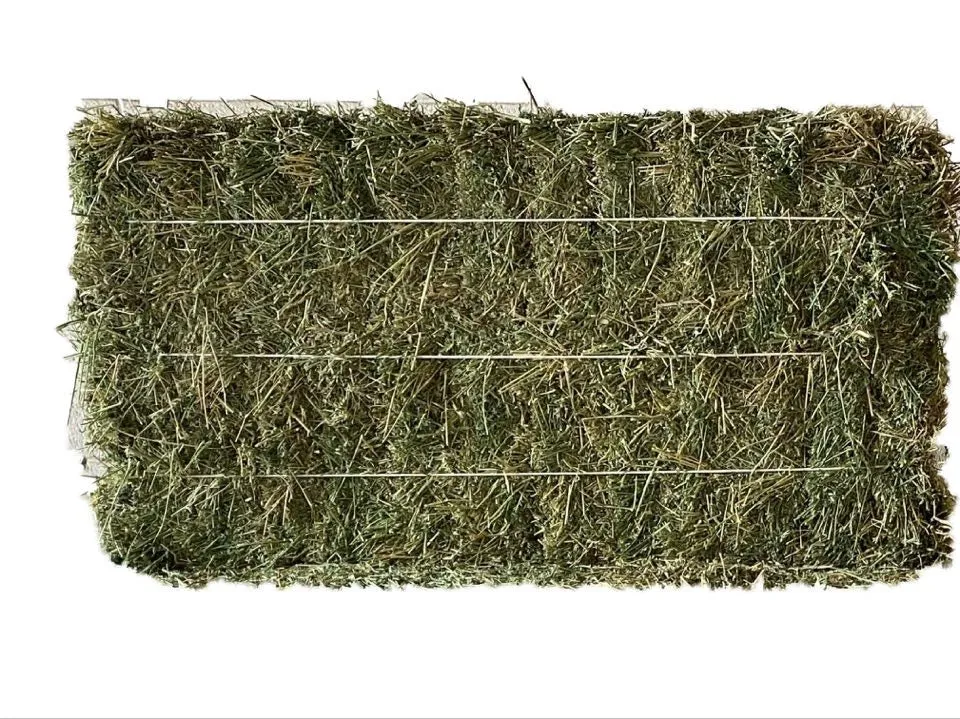Alfalfa 3 Strand
