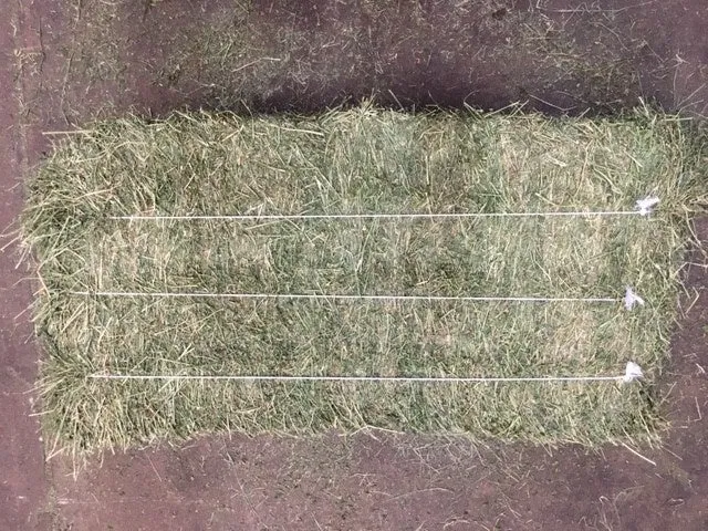 Alfalfa 3 Strand