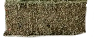 Alfalfa Midsize (Store Pickup Only)