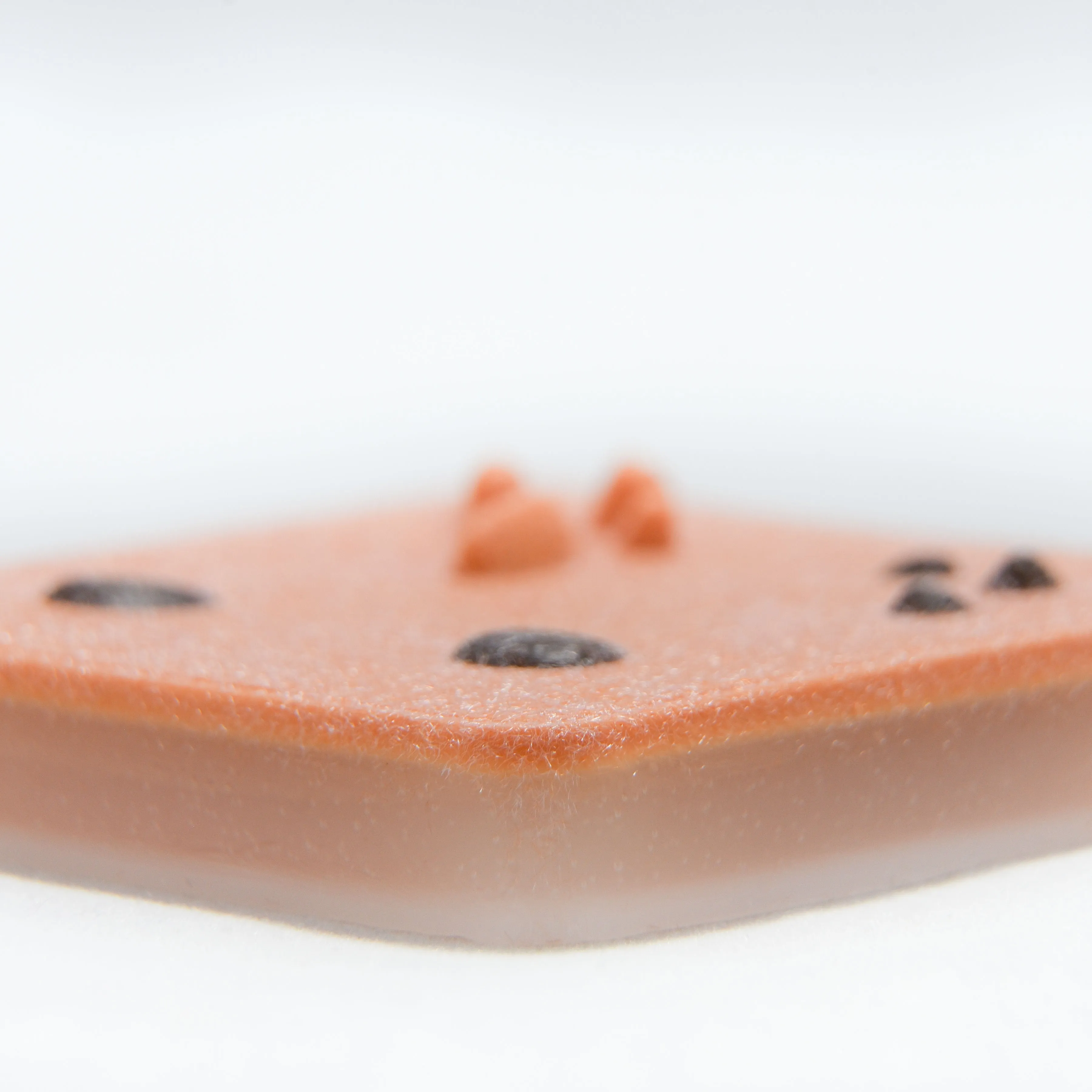 Dermal Lesion Simulated Tissue Pad