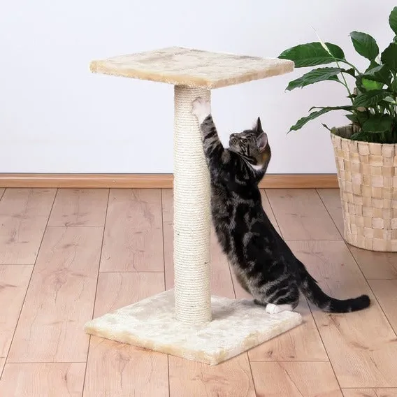 Espejo Scratching Post 69cm