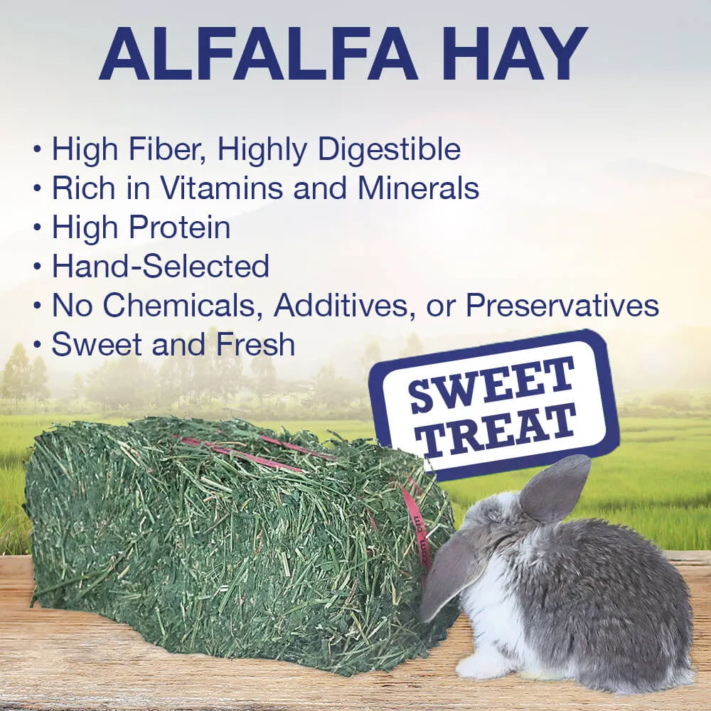 Grandpa's Best Alfalfa Hay Bale