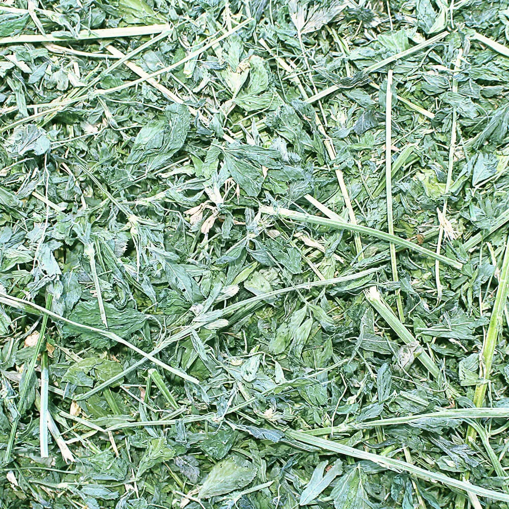 Grandpa's Best Alfalfa Loose Boxed Hay