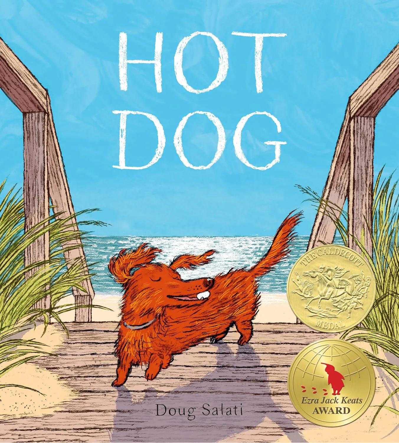 Hot Dog: (Winner of the 2023 Caldecott Medal) Hardcover  Picture Book, May 24, 2022