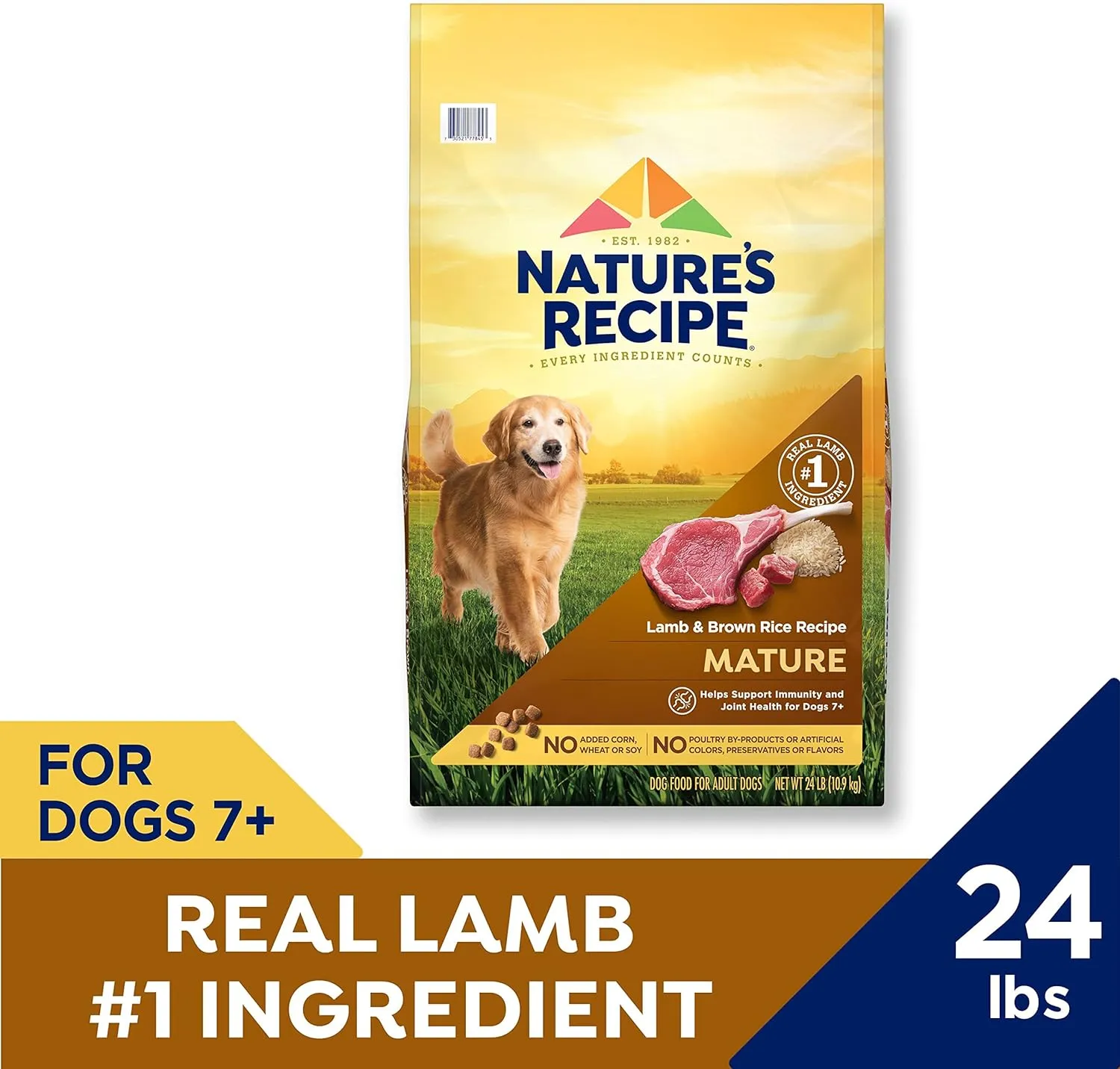 Natures Recipe Mature Lamb & Brown Rice Recipe Dry Dog Food, 24 lb. Bag
