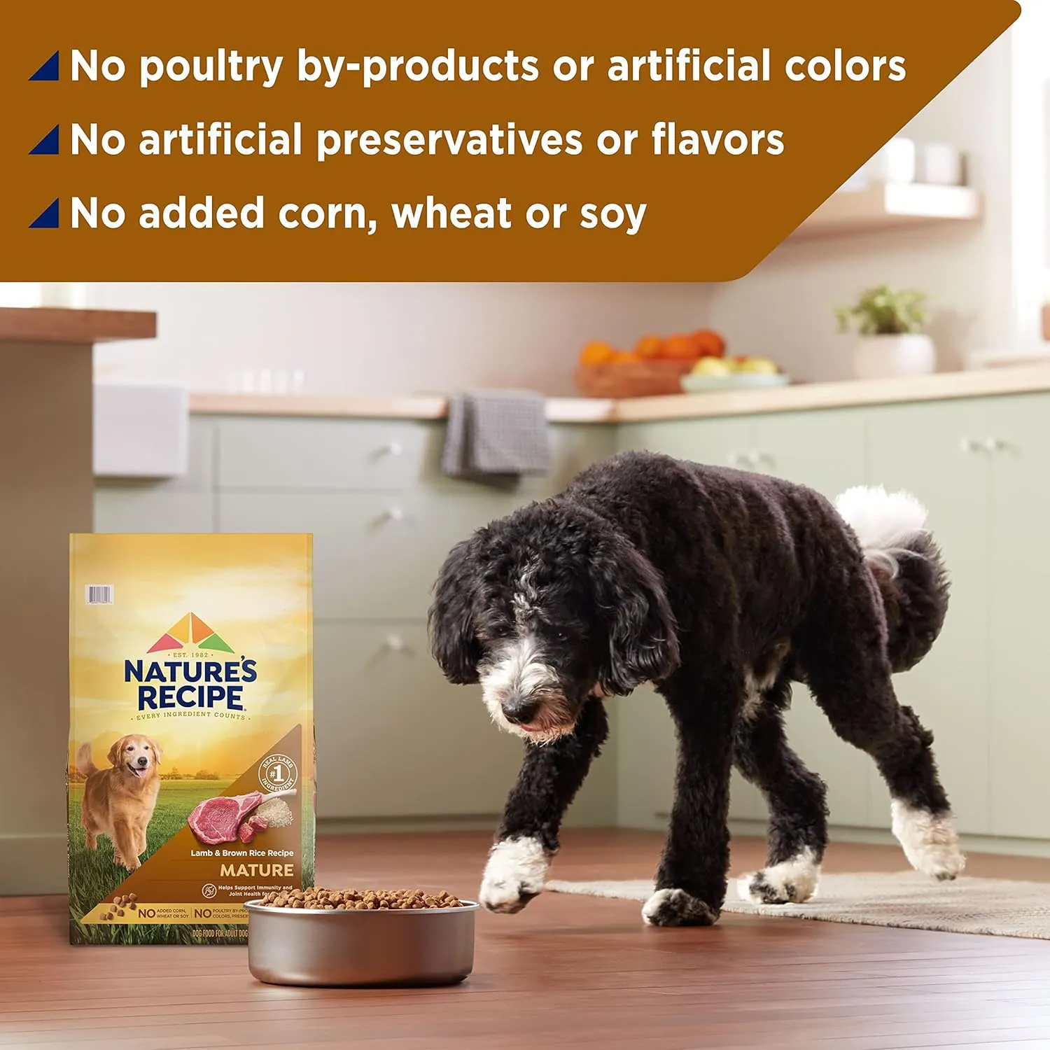 Natures Recipe Mature Lamb & Brown Rice Recipe Dry Dog Food, 24 lb. Bag