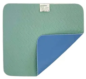Patient Aid 21" x 22" Chair Pad - Incontinence Chair Protector Liner Underpad - Reusable, Washable, Waterproof - Adult & Children - Home Care & Hospital Use - Premium Quality