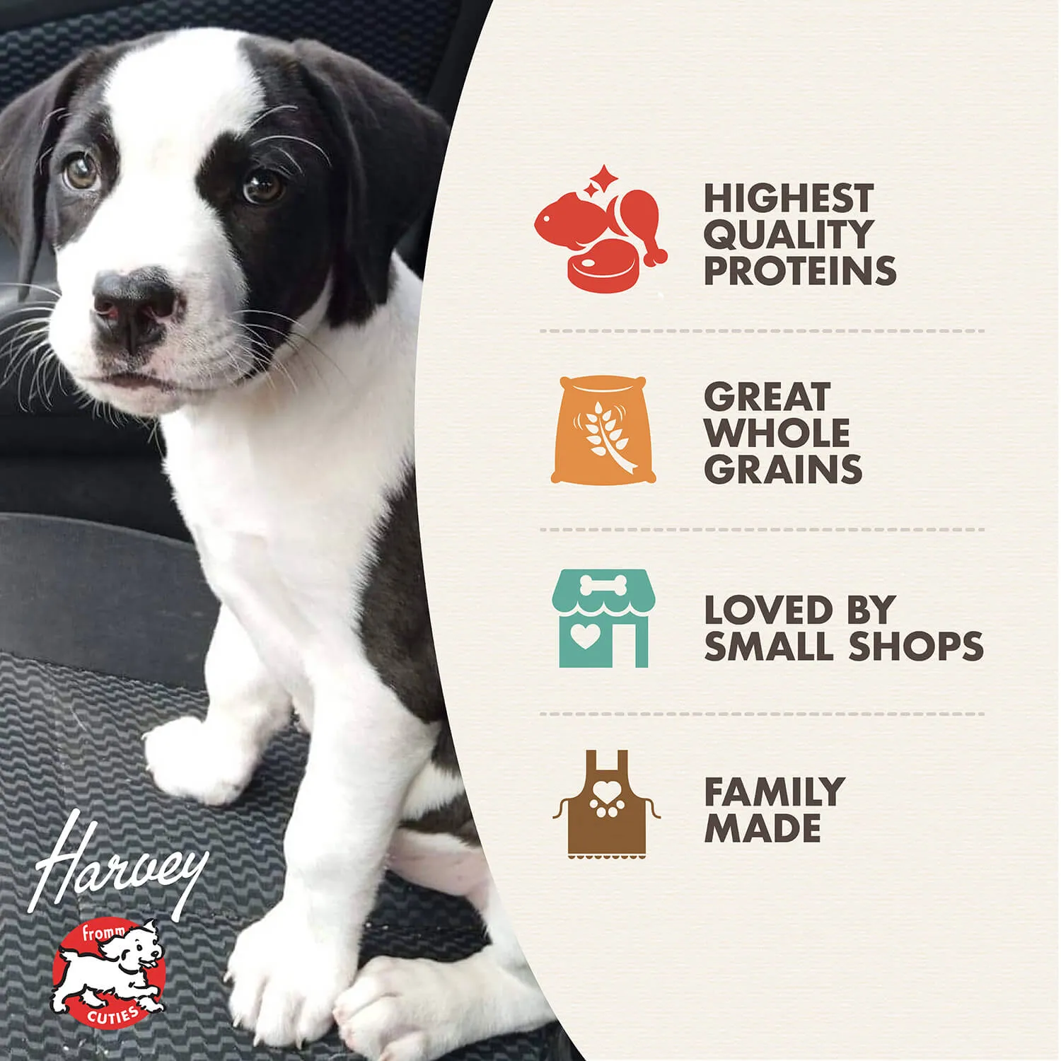 Puppy Gold Holistic Dry Dog Food from Fromm