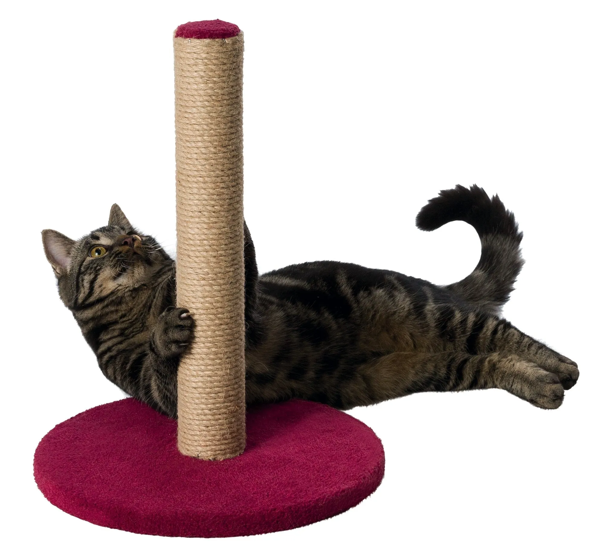 Scratching Post on a Plate