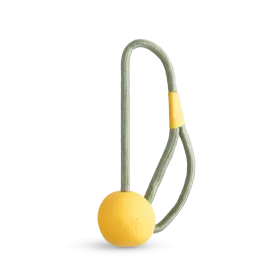 Slinger Ball