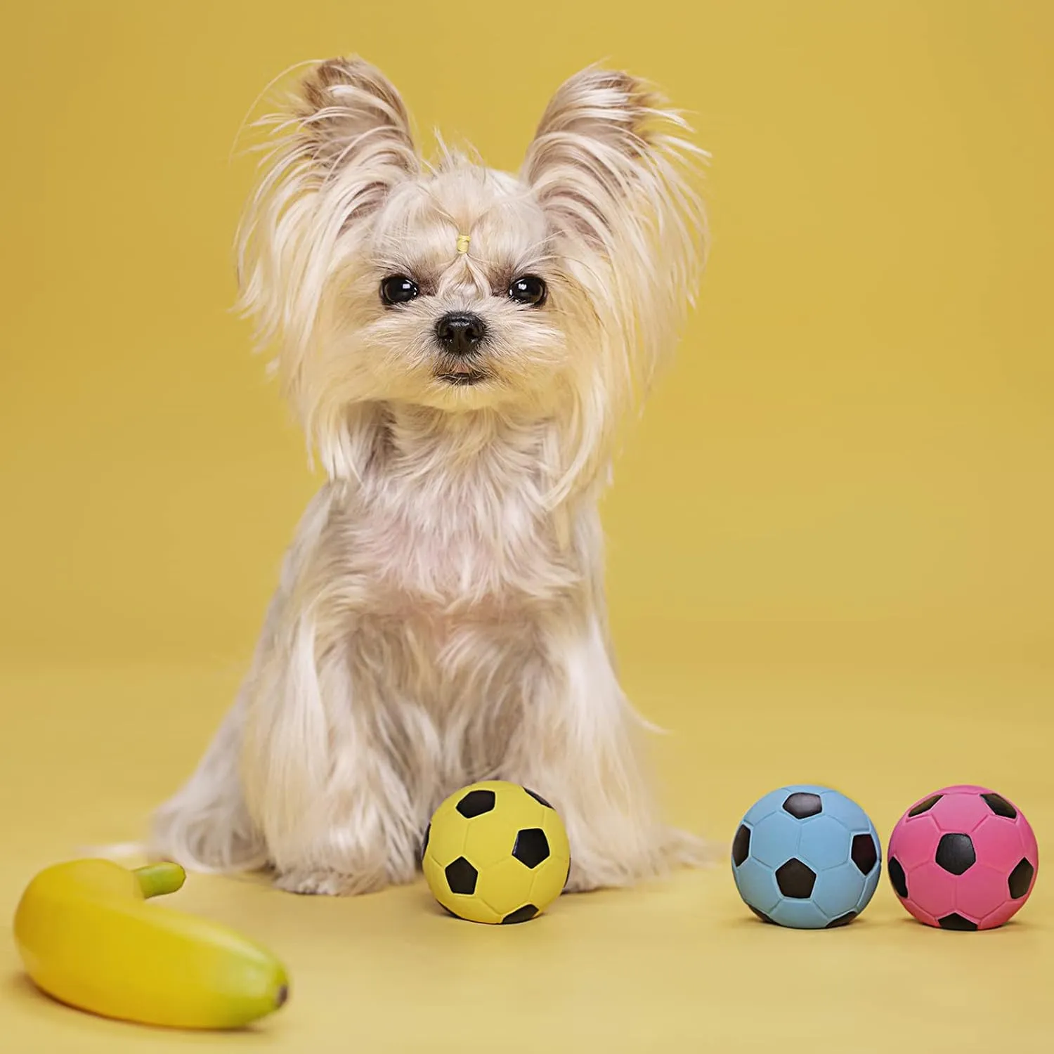Squeaky Dog Ball, Soft Latex Rubber Squeaky Dog Toys for Small Dogs Puppies, Cute Bounce Squeak Toys Play Fetch Soccer Ball