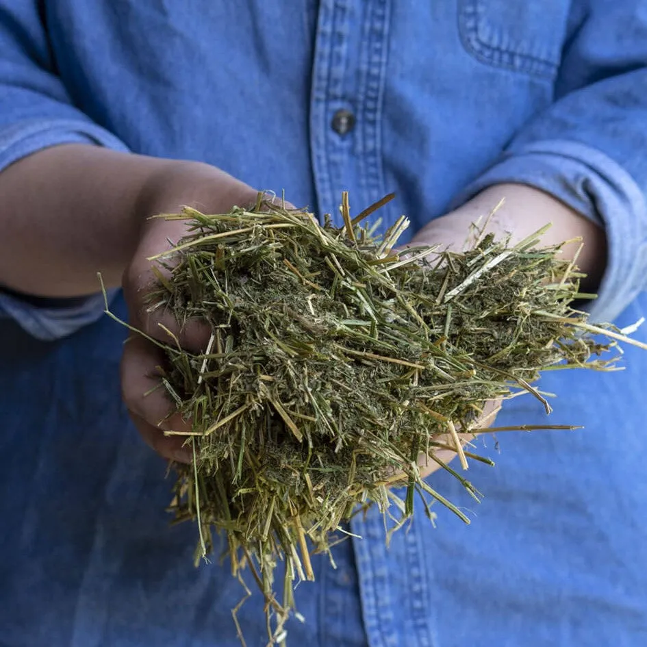 Triple Crown Alfalfa Forage Horse Feed
