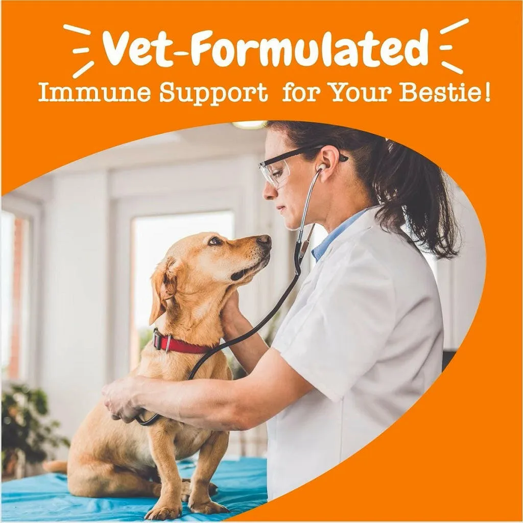 Zesty Paws Vet Strength Aller-Immune Bites Smoked Cheese Flavored Immune Support Chews for Dogs (90 ct)